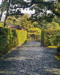 Beautiful grounds and garden 