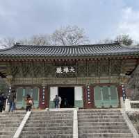 梵魚寺　散策