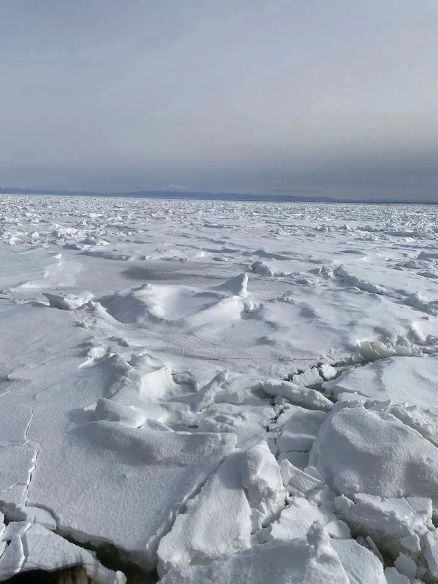 【2024年網走】絶対乗るべき流氷船おーろら