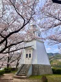 【鳥取　境港】灯台と桜が一緒に楽しめる公園
