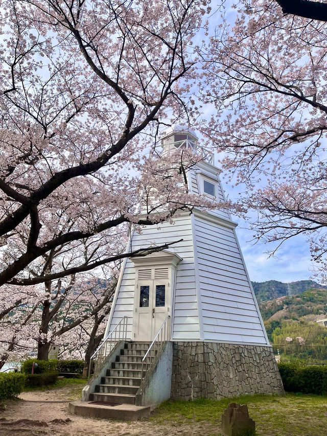 【鳥取　境港】灯台と桜が一緒に楽しめる公園