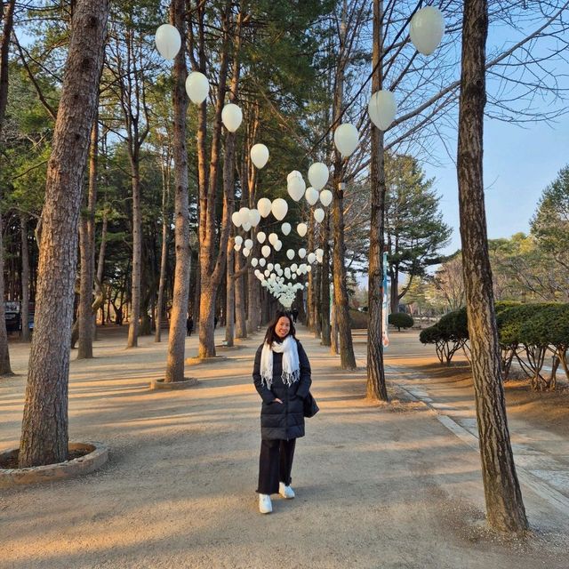 Trip To Nami Island