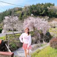 広島県　三原市　御調八幡宮
