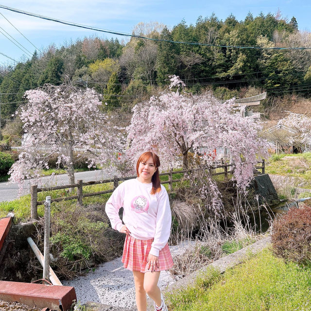 広島県　三原市　御調八幡宮