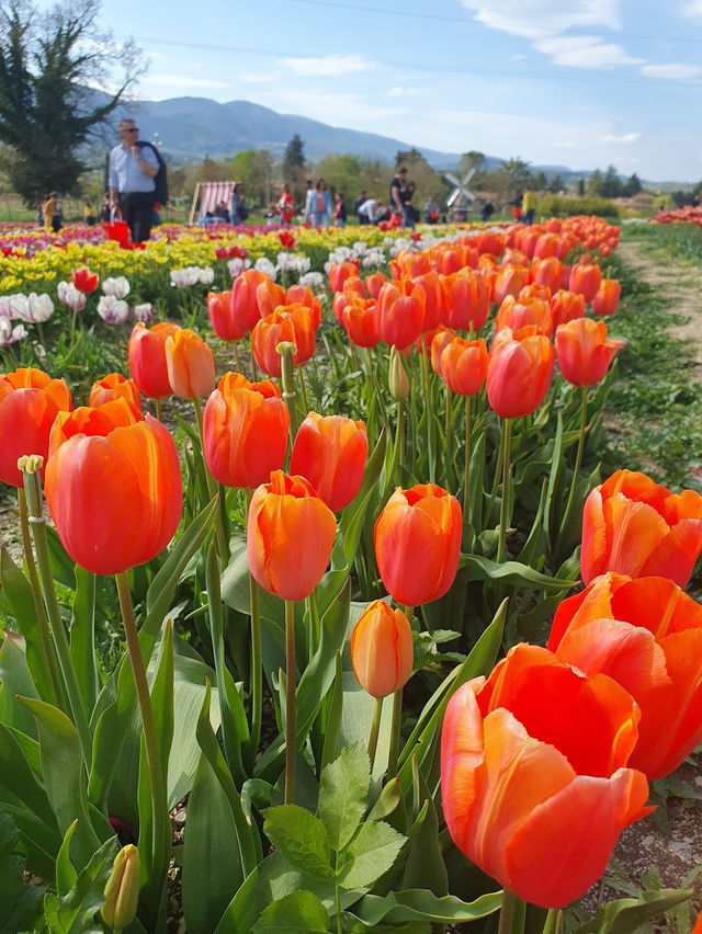 TuliPark - Spoleto