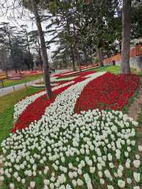 Emirgan Tulip Gardens