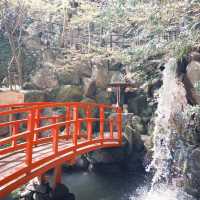 日本九州｜全世界最大的青銅臥佛🫶🏻