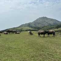 Qingtiangang Grassland