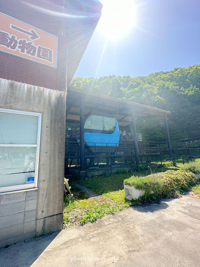 【長野/篠ノ井】めちゃくちゃかわいいモノレール🚝韓国のみたい 