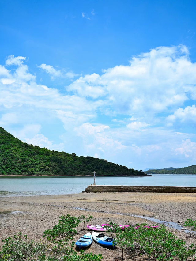 與母親共步：在麥理浩徑的海岸線上