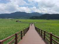 Suncheon Bay Nature Reserve 