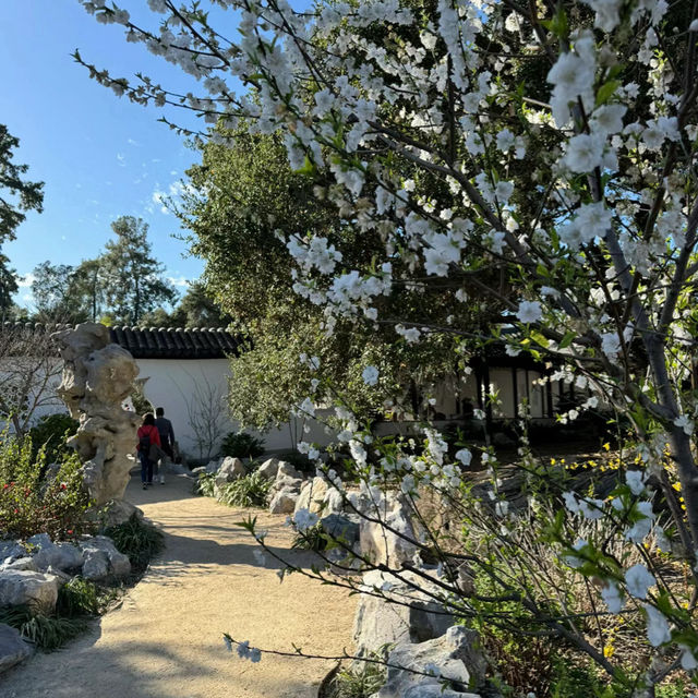 岸和田城庭園：悠久歷史、秀麗景色、優雅日式園林，大阪文化遺產