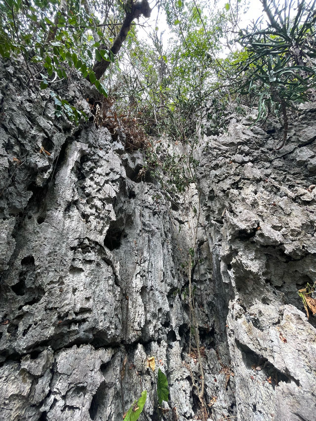 ทะเลใน | หมู่เกาะอ่างทอง