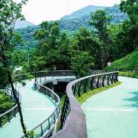 臺北象山步道：城市中的自然寧靜，俯瞰高樓大廈與綠意盎然的獨特景緻