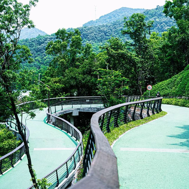 臺北象山步道：城市中的自然寧靜，俯瞰高樓大廈與綠意盎然的獨特景緻