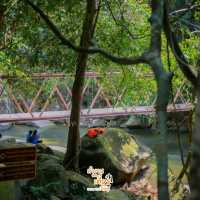 อุทยานแห่งชาติเขาชะเมา-เขาวง🌳🍃