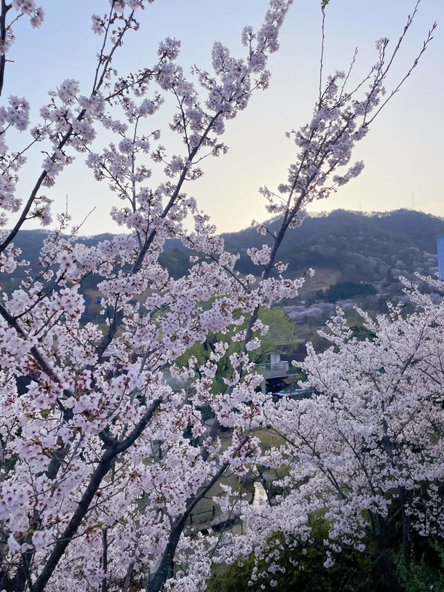 🎡16,000원 내고 하늘자전거만 타고 온 썰,,, 이거 맞아?,,,