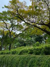 Fort Canning Park | Singapore