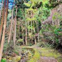岩門の滝