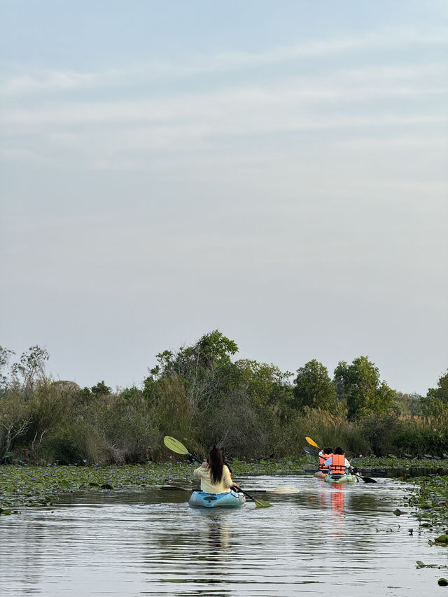 สวนพฤกษศาสตร์ | ระยอง 🚣🏻‍♂️🌳🌿☀️