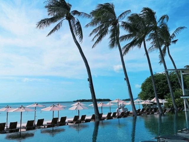 🏖️ Stunning Beach Hotel Koh Samui