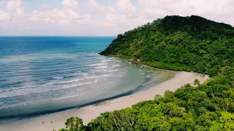 Cape Tribulation — traveler post in Cape Tribulation