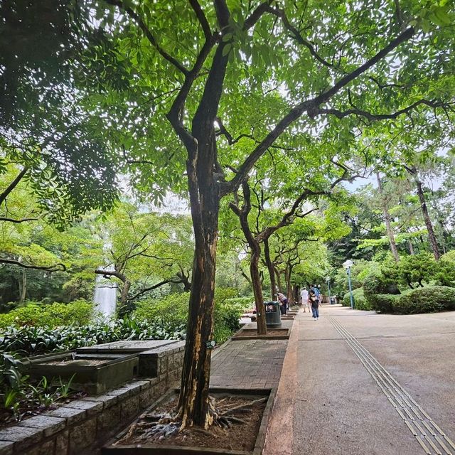 홍콩침사추이 힐링스팟 구룡공원