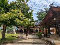 日本奈良-參拜世界遺產的青銅巨佛：東大寺