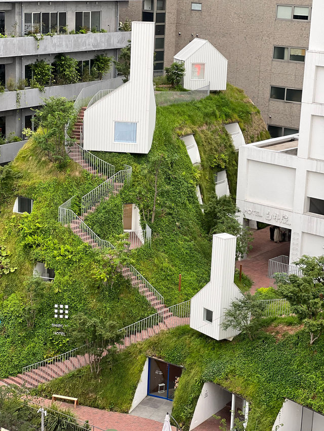 唯一無二のアートホテル 白井屋ホテルへ