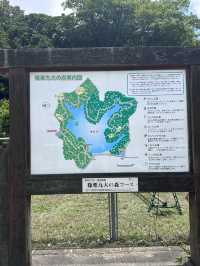 【福岡観光/自然】森林浴