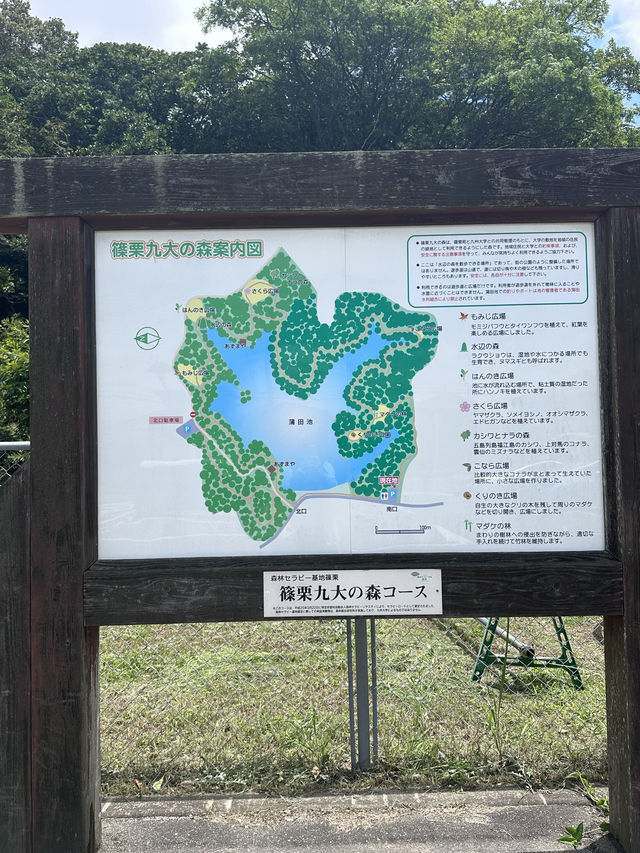 【福岡観光/自然】森林浴