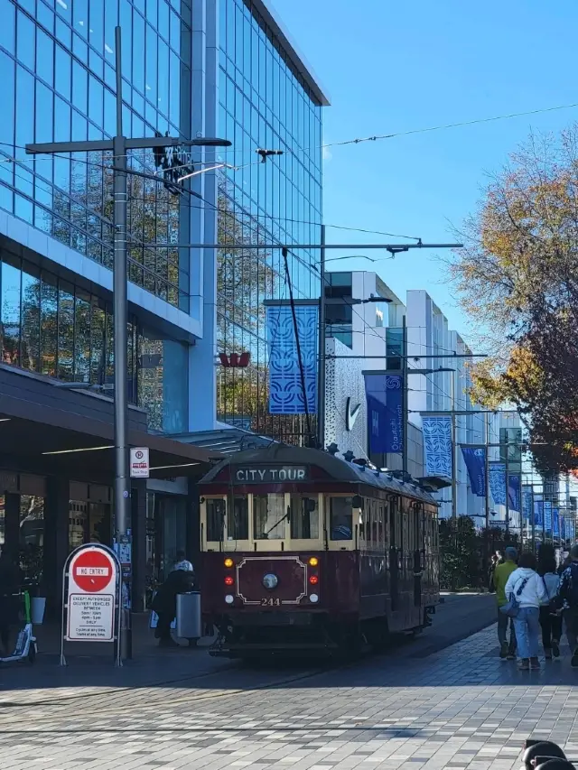 Half-Day Tour in Christchurch: Cathedral Square, Bridge of Remembrance, Riverside Market