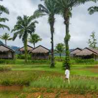 Khaosok Boutique Hideaway ที่พักสไตล์ Glamping