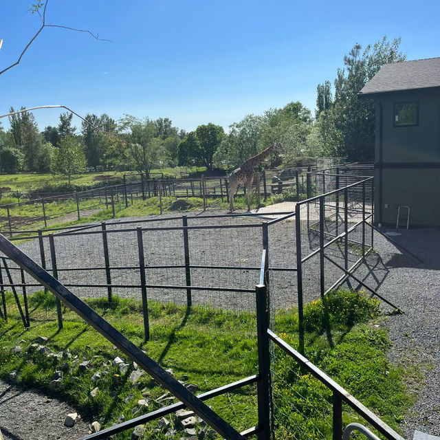 【大阪】天王寺動物園：豐富動物種類，親子好去處