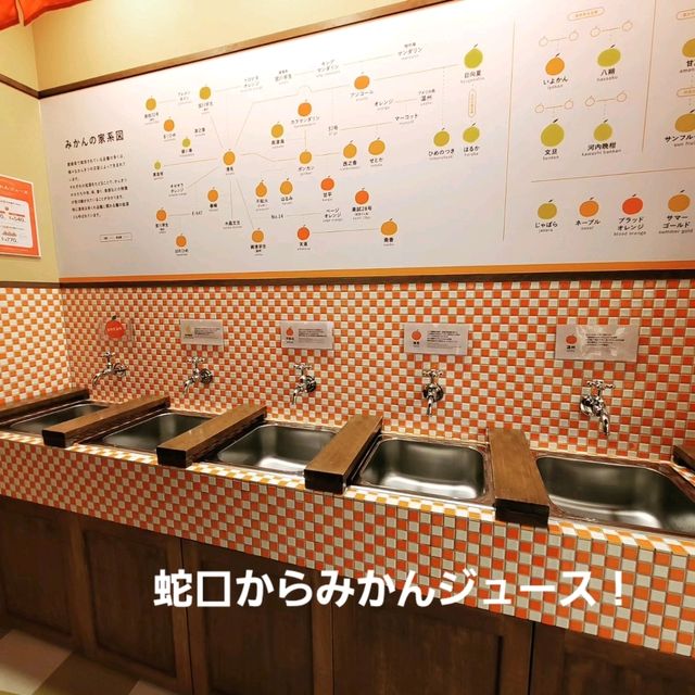【愛媛】道後温泉