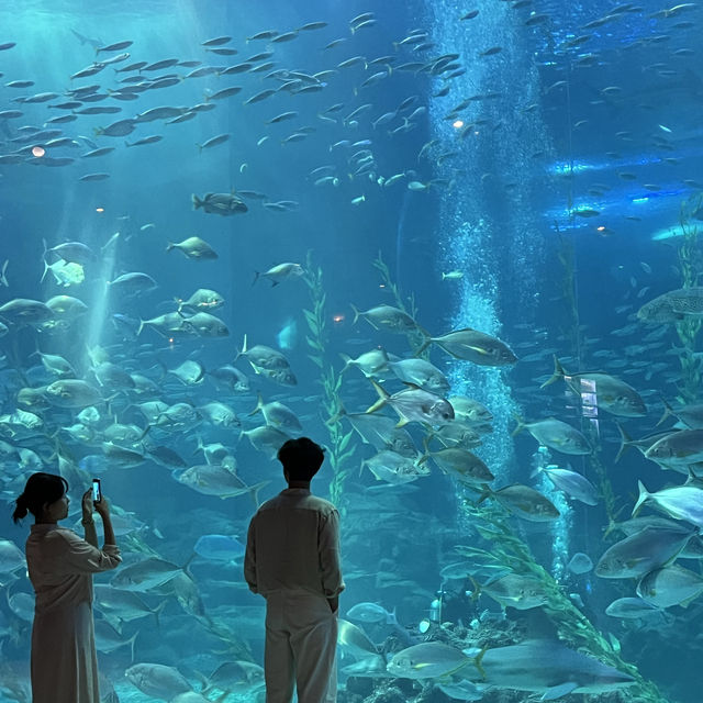 濟州島的大自然，水族館，瀑布 - 動靜皆宜之旅