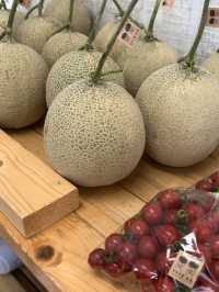 【福岡グルメ】新鮮な野菜とフルーツで作るスムージーはいかが？🍅
