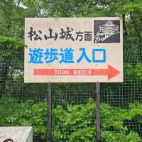 【岡山】備中松山城