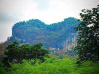 บ้านเขาเทพพิทักษ์ สุราษฎร์ธานี