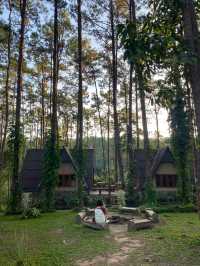 ฤดูฝนที่สวนป่าดอยบ่อหลวง 🏡🪵🌲🔥