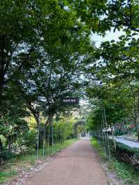 🇰🇷 首爾北漢山郊野公園 ⛰️ 韓國的佛教廟宇 🪷