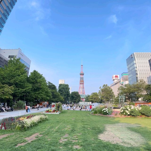 일본여행 삿포로 오도리 공원 大通公園