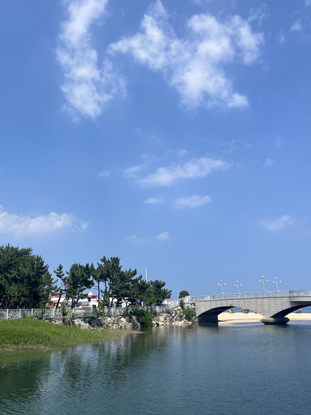 청량한 여름이면 산따라 물따라, 정동진 여행