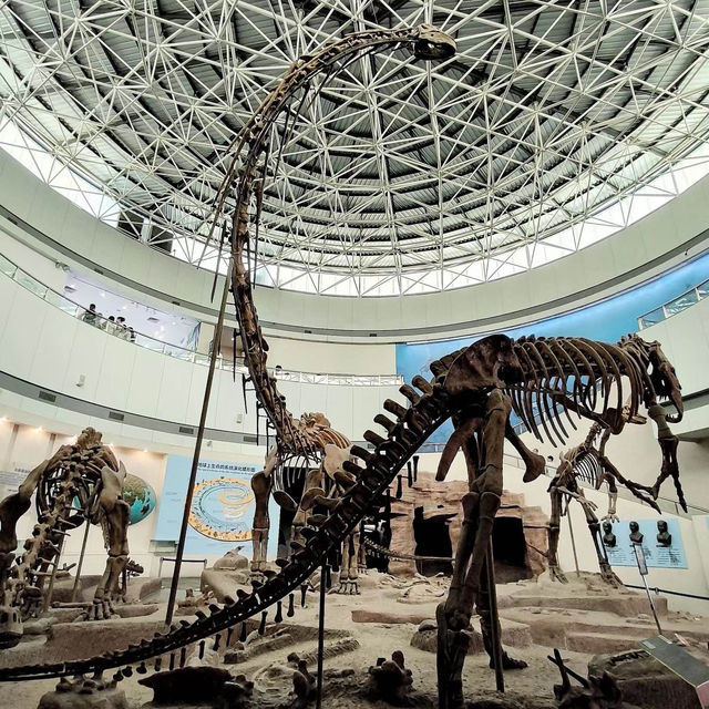 珠海市博物館：歷史與科技