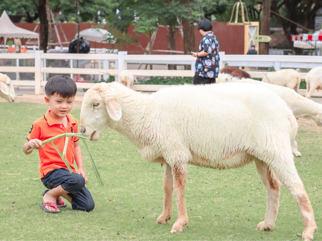 รีวิว The Scenery Vintage Farm สวนผึ้ง 