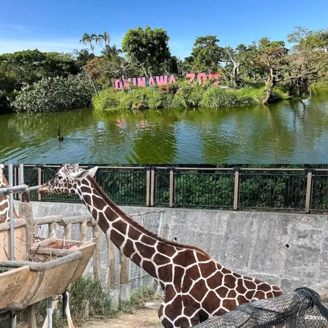 Okinawa Children's Kingdom: Affordable Tickets, Free Parking.