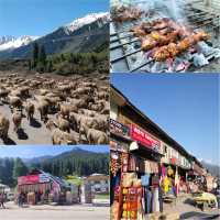 Srinagar ศรีนาการ์ ใครว่ามีแต่จลาจล