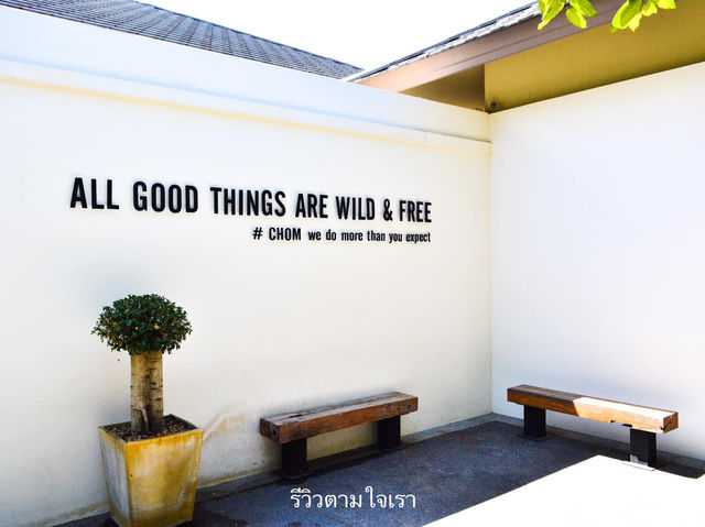 คาเฟ่ในป่าหิมพานต์เชียงใหม่เขียวชะอุ่มสดชื่นมาก