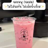 The Cups เดอะคัพ