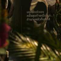 ไปเสพงานศิลป์และสูดกลิ่นป่าผ่านน้ำหอมกันครับ